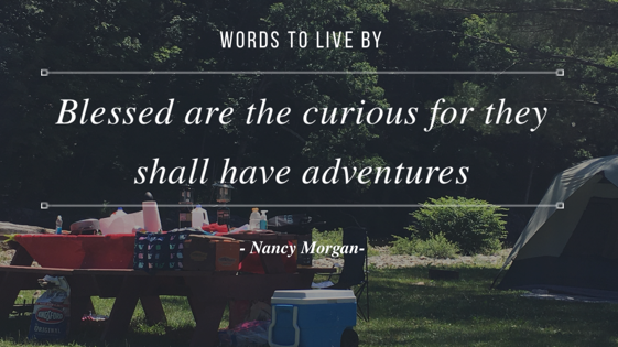 Mohawk Park Restaurant And Campground | restaurant | 559 Tea Street rt 2, Charlemont, MA 01339, USA | 4133394470 OR +1 413-339-4470