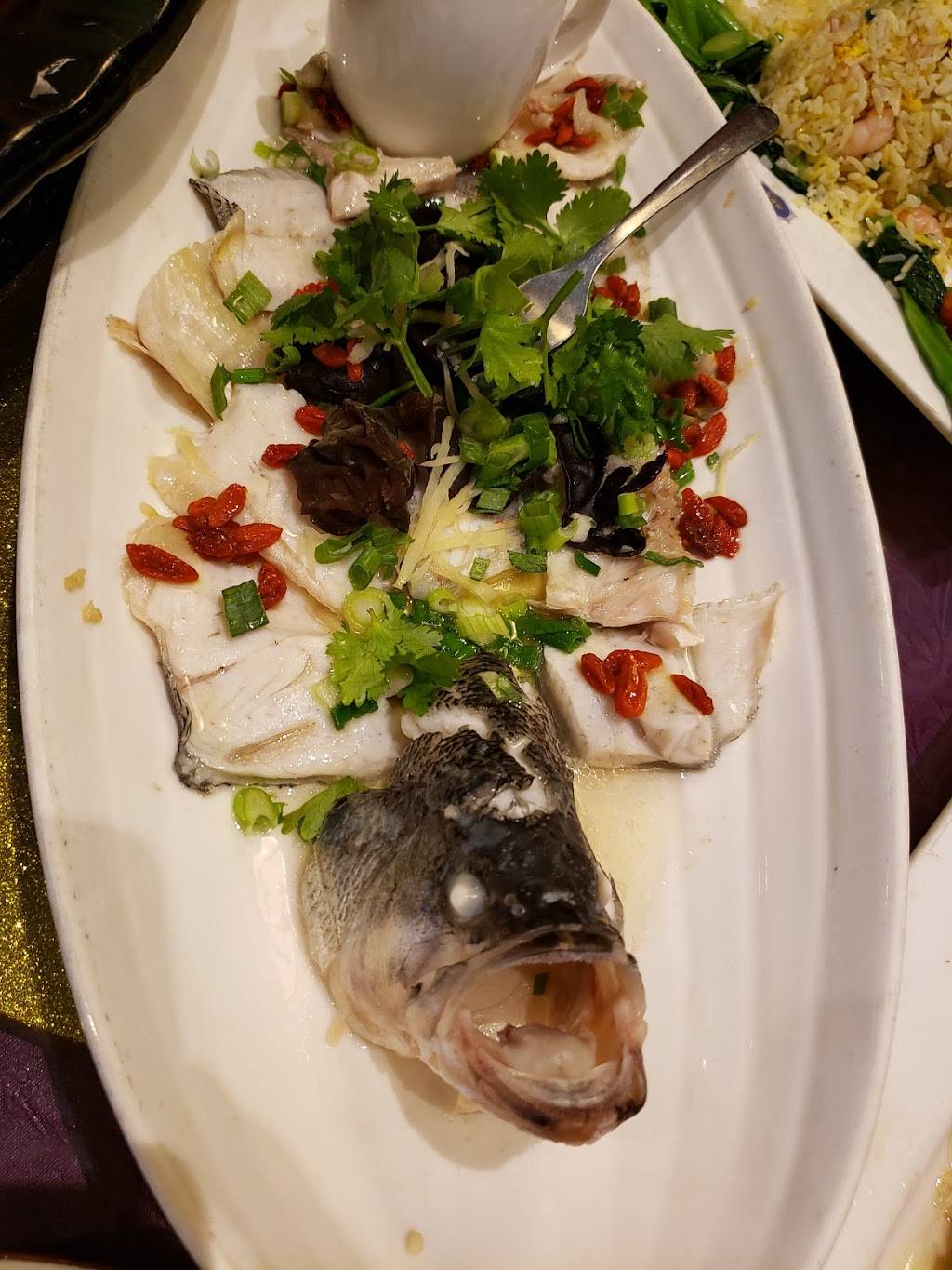 Fishman Village 漁家燈火 | restaurant | 4500 Steeles Ave E, Markham, ON L3R 0L2, Canada | 9054749777 OR +1 905-474-9777