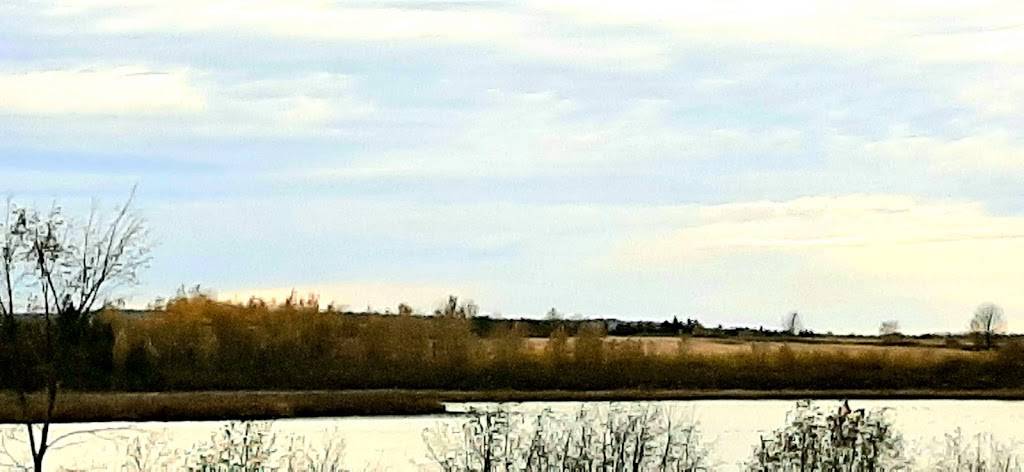 Reine de la Patate | restaurant | 246 Rue Water, Danville, QC J0A 1A0, Canada | 8198393183 OR +1 819-839-3183