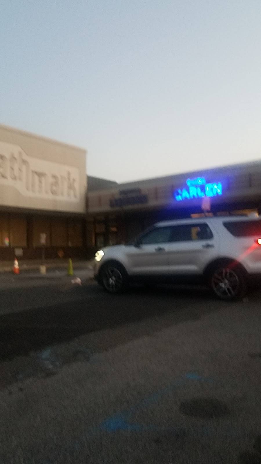 Chens Garden | restaurant | 11046 Flatlands Ave, Brooklyn, NY 11207, USA | 7186491711 OR +1 718-649-1711