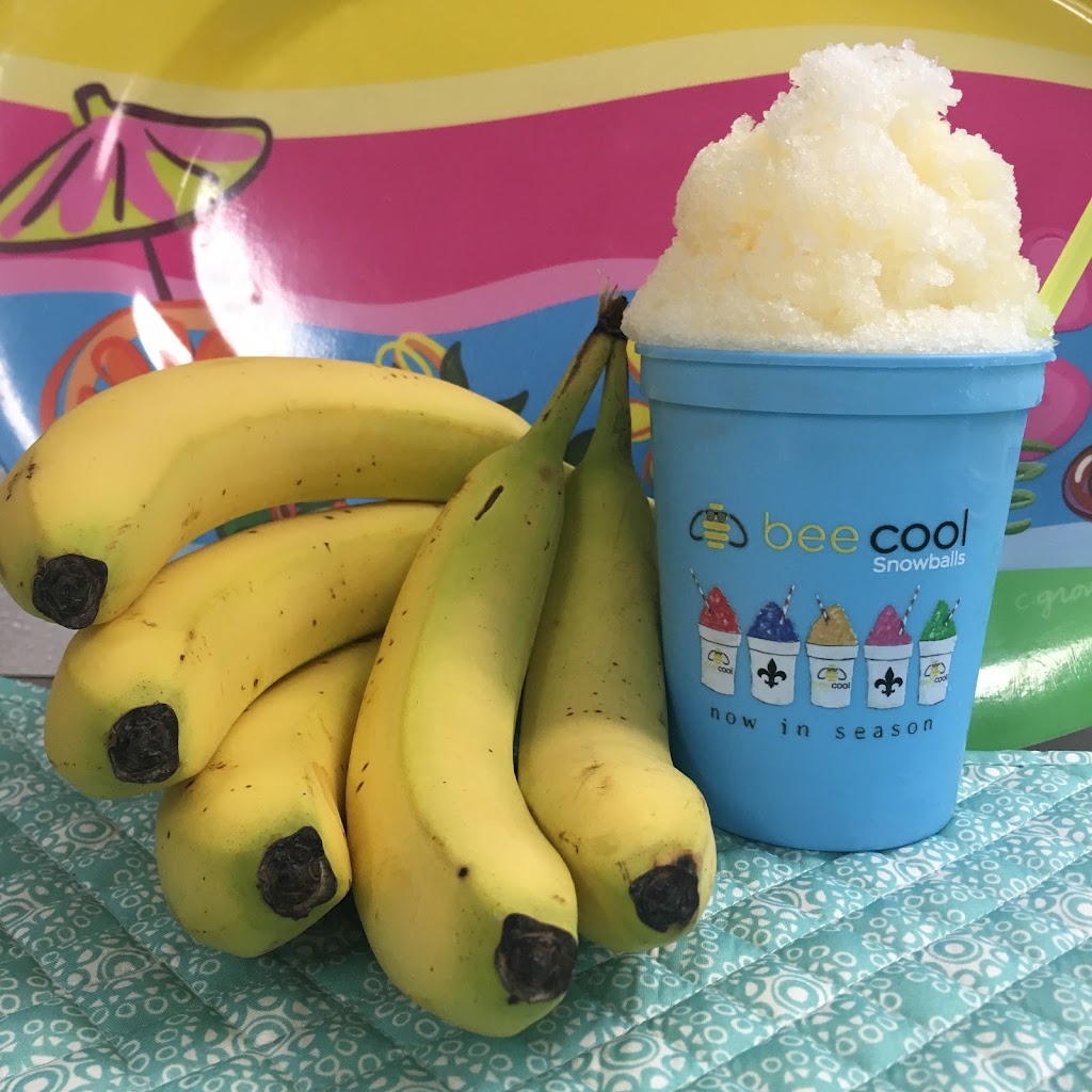 Bee Cool Snowballs | meal takeaway | 124 New Orleans Blvd, Houma, LA 70364, USA | 9857464339 OR +1 985-746-4339