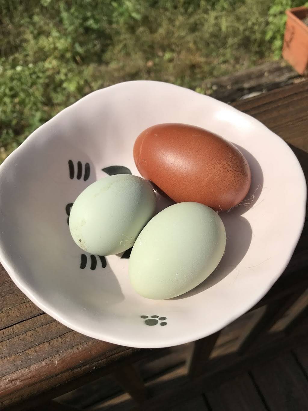 Alchemist Farm | restaurant | 3244 Gravenstein Hwy N, Sebastopol, CA 95472, USA | 7073362202 OR +1 707-336-2202