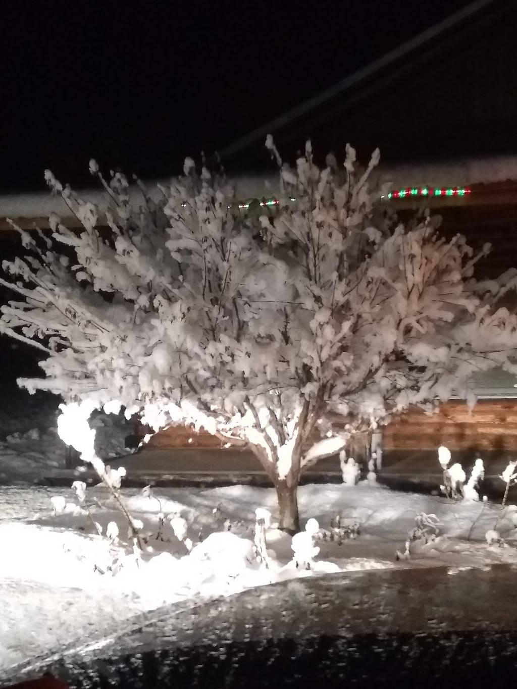 Songbird | restaurant | 1761 White Mountain Hwy, Tamworth, NH 03886, USA | 6033239322 OR +1 603-323-9322