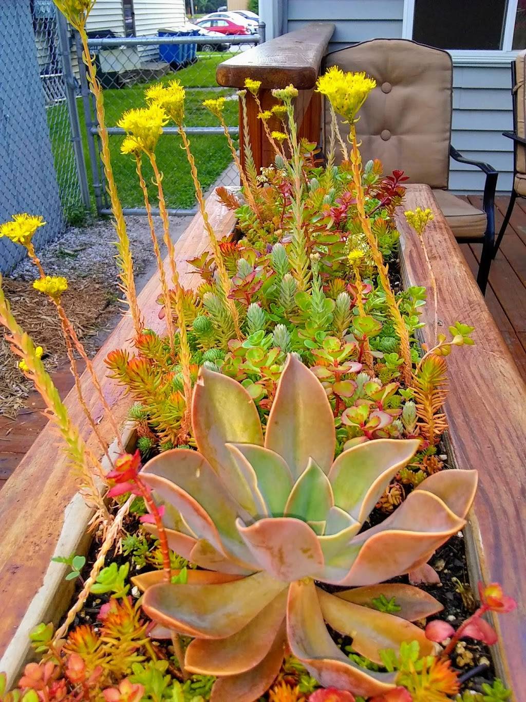 Jacks Tap | restaurant | 1207 Dunn St, Portage, WI 53901, USA | 6085661666 OR +1 608-566-1666