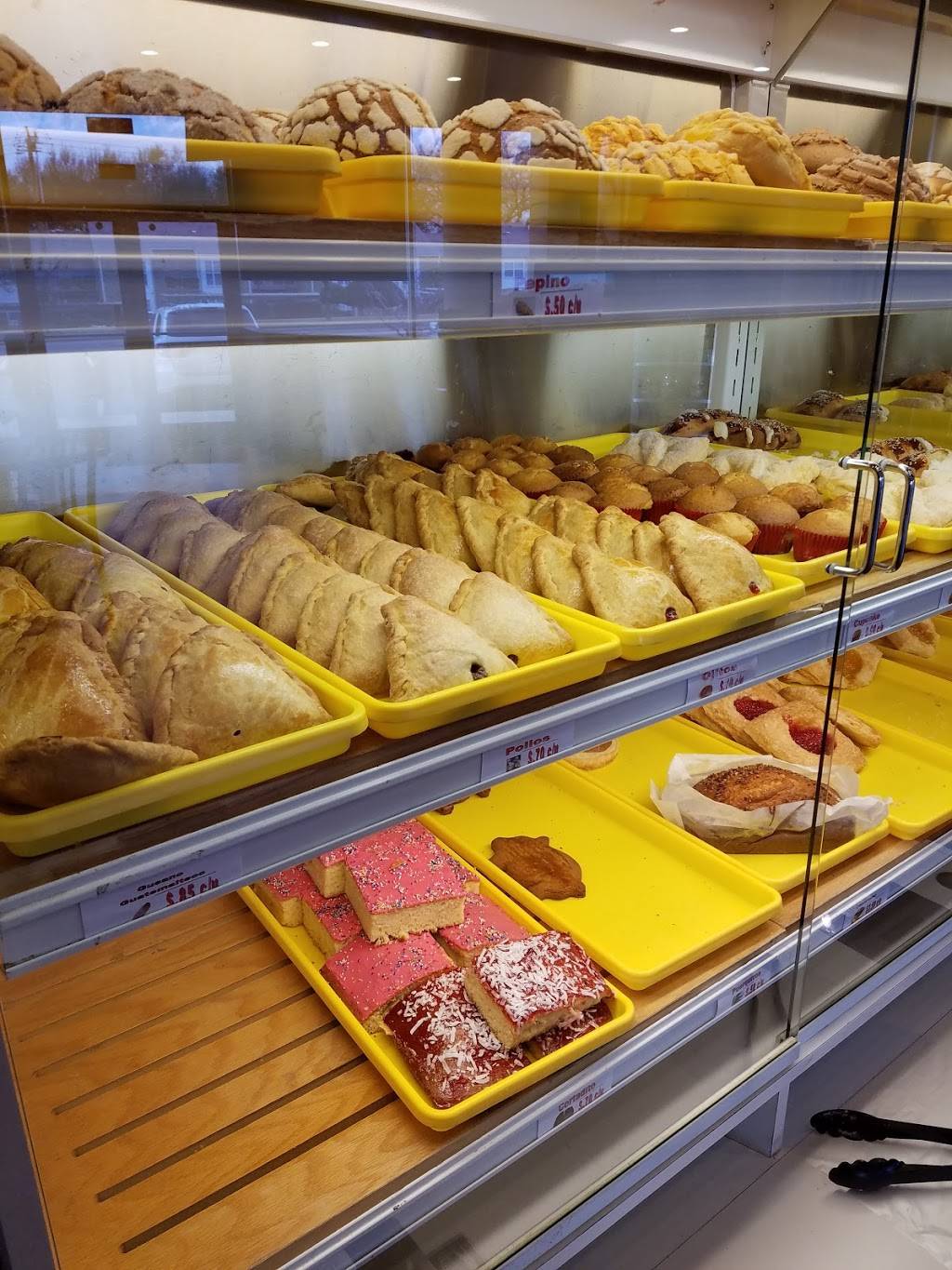 La Nueva De Zacatecas Tortillerias | restaurant | 14902 Preston Rd, Dallas, TX 75254, USA | 4698026849 OR +1 469-802-6849