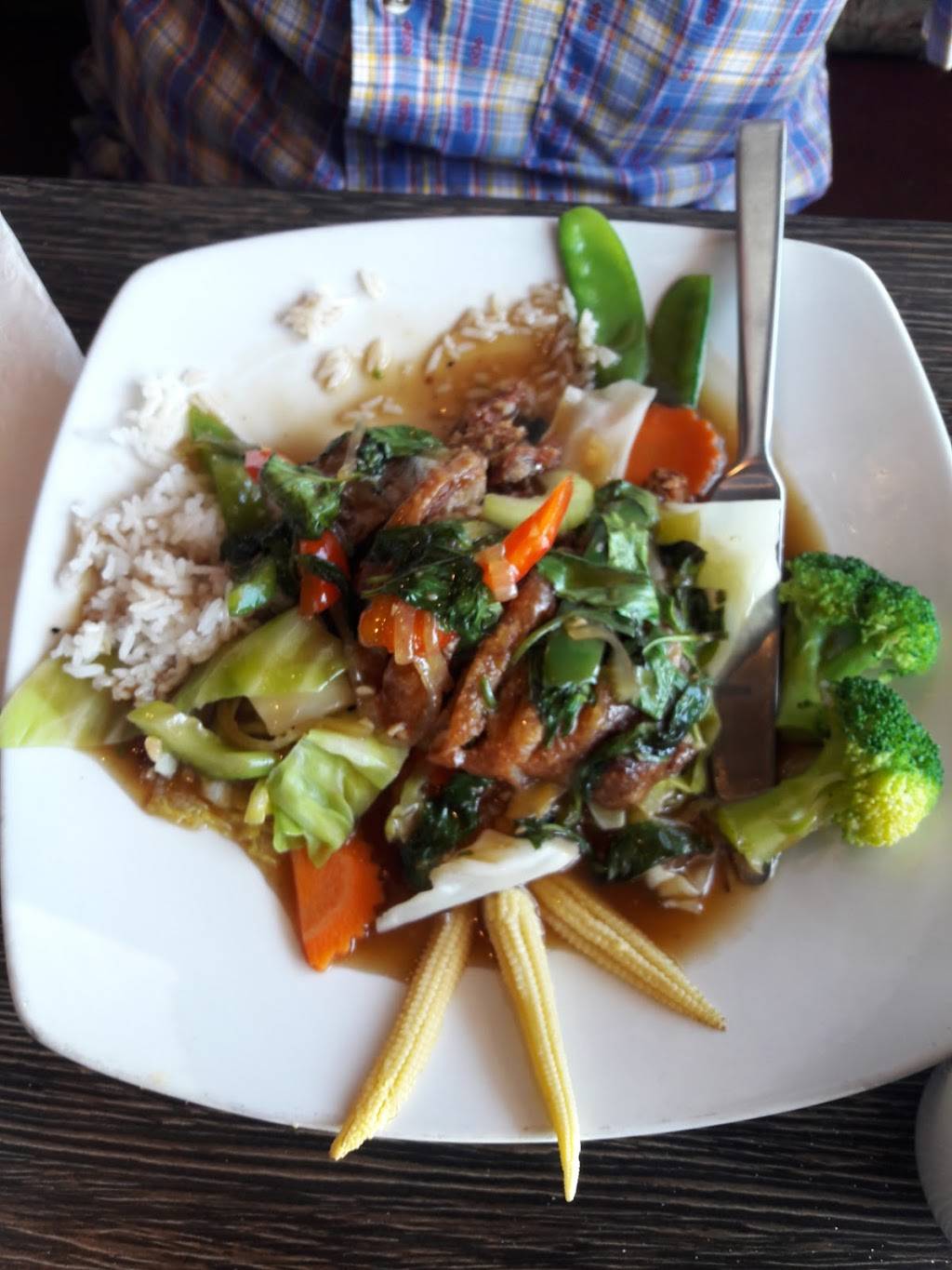 Siam Garden Restaurant | restaurant | 1111 W Webster Ave, Winter Park, FL 32789, USA | 4075997443 OR +1 407-599-7443