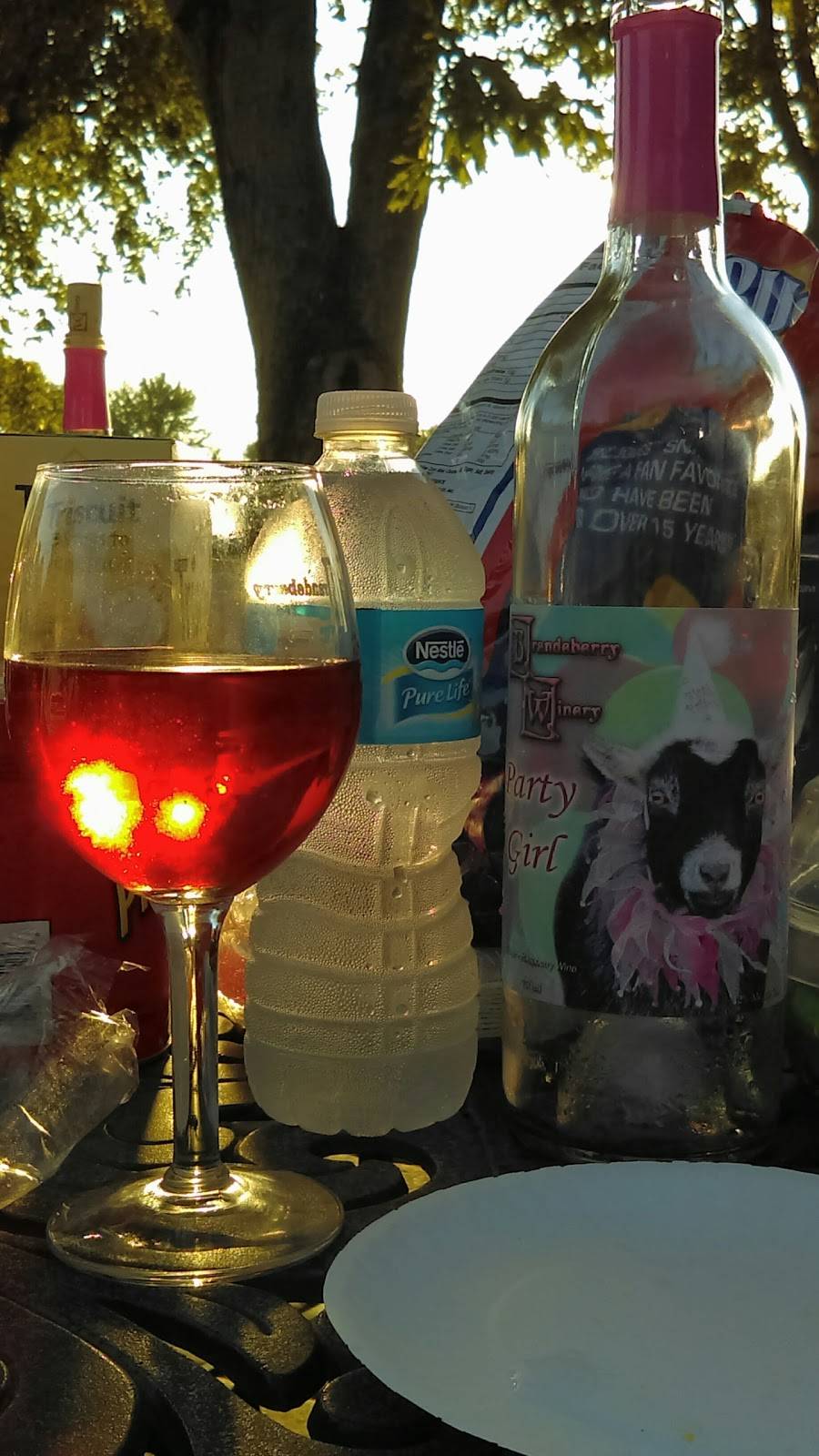 Brandeberry Winery | restaurant | 5118 W Jackson Rd, Enon, OH 45323, USA | 9377679103 OR +1 937-767-9103