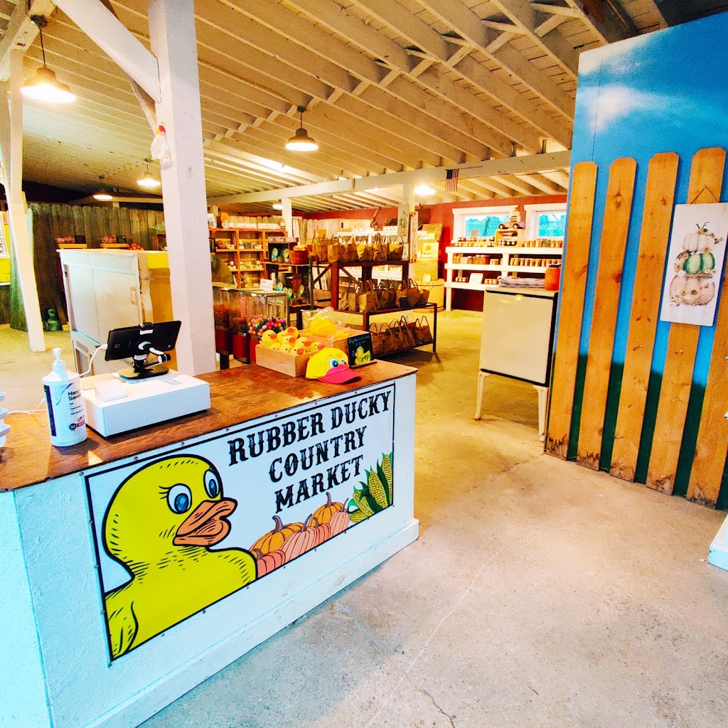 Rubber Ducky Country Market | restaurant | 36116 128th St Suite B, Twin Lakes, WI 53181, USA | 2622995556 OR +1 262-299-5556