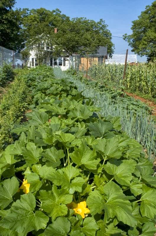 Sanders Ridge Vineyard, Winery and Events | restaurant | 3200 Round Hill Rd, Boonville, NC 27011, USA | 3366771700 OR +1 336-677-1700