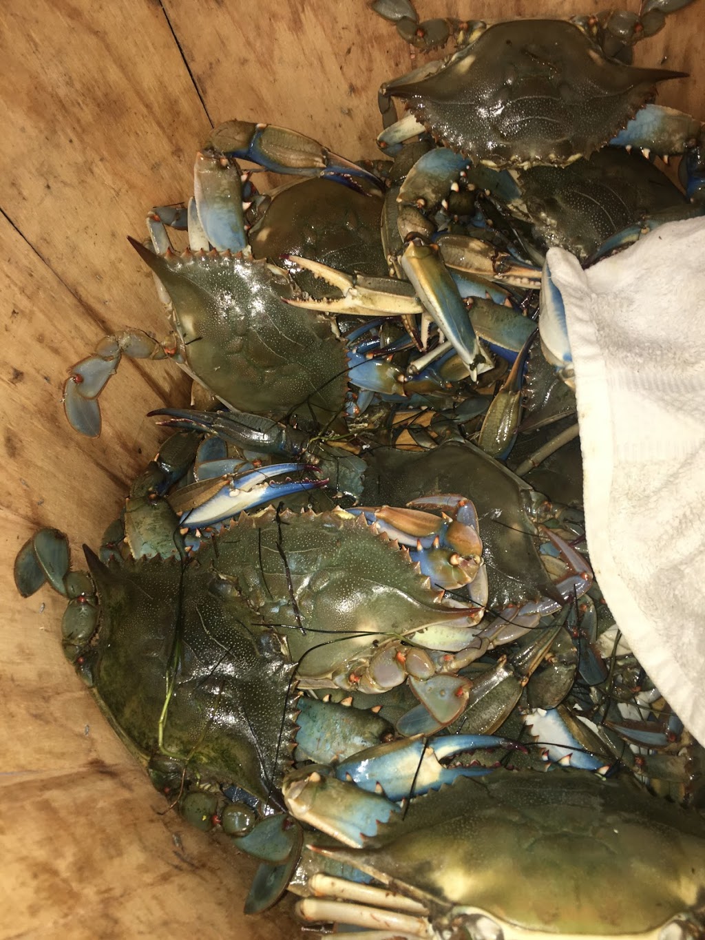 Best In Town Seafood | restaurant | 8001 Castor Ave, Philadelphia, PA 19152, USA | 2157100520 OR +1 215-710-0520