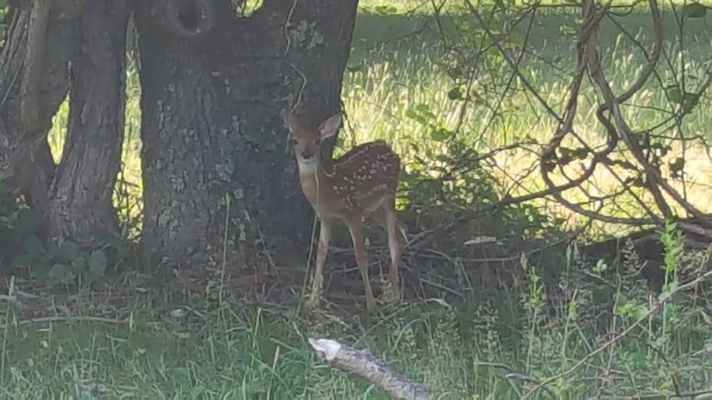 Randys Pizza | restaurant | 2906 S Black Horse Pike, Williamstown, NJ 08094, USA | 8566297575 OR +1 856-629-7575