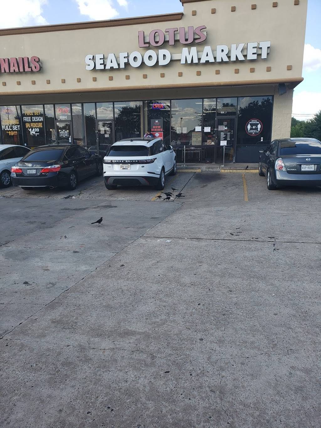 Lotus Seafood | restaurant | 8550 S Braeswood Blvd F, Houston, TX 77071, USA | 7132707987 OR +1 713-270-7987