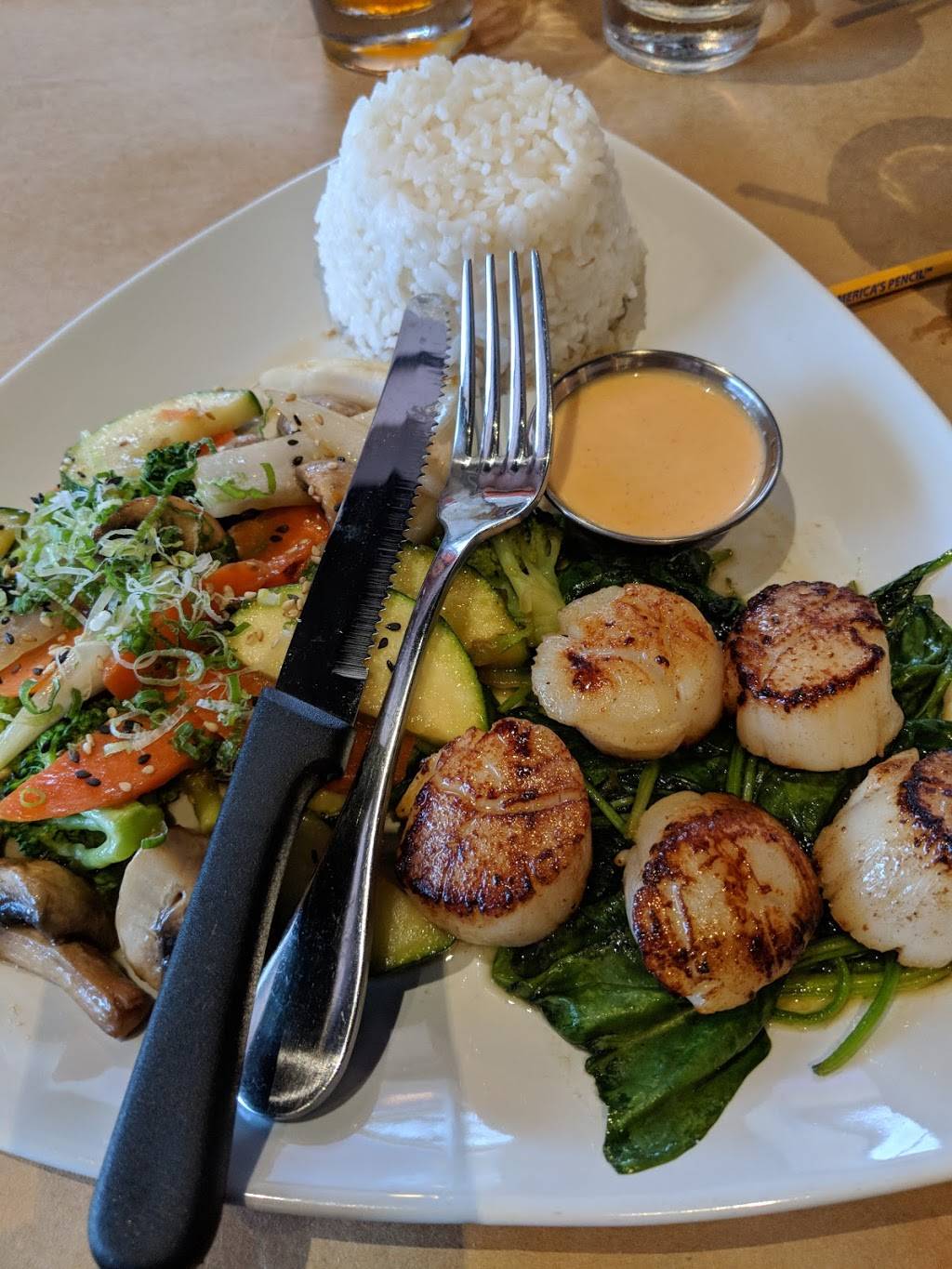 Sushi Alive | restaurant | 13234 Race Track Rd, Tampa, FL 33626, USA | 8133415483 OR +1 813-341-5483