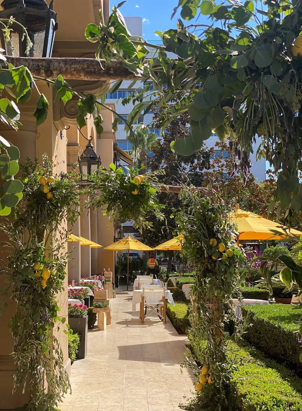 The Terrace | restaurant | 225 N Canon Dr, Beverly Hills, CA 90210, USA | 3108607800 OR +1 310-860-7800