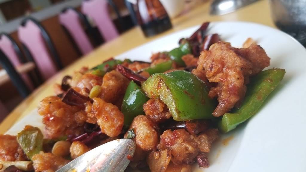 Szechuan Ace Chinese Restaurant | restaurant | Szechuan Ace Chinese Restaurant, Somerset, NJ 08873, USA | 7329379330 OR +1 732-937-9330
