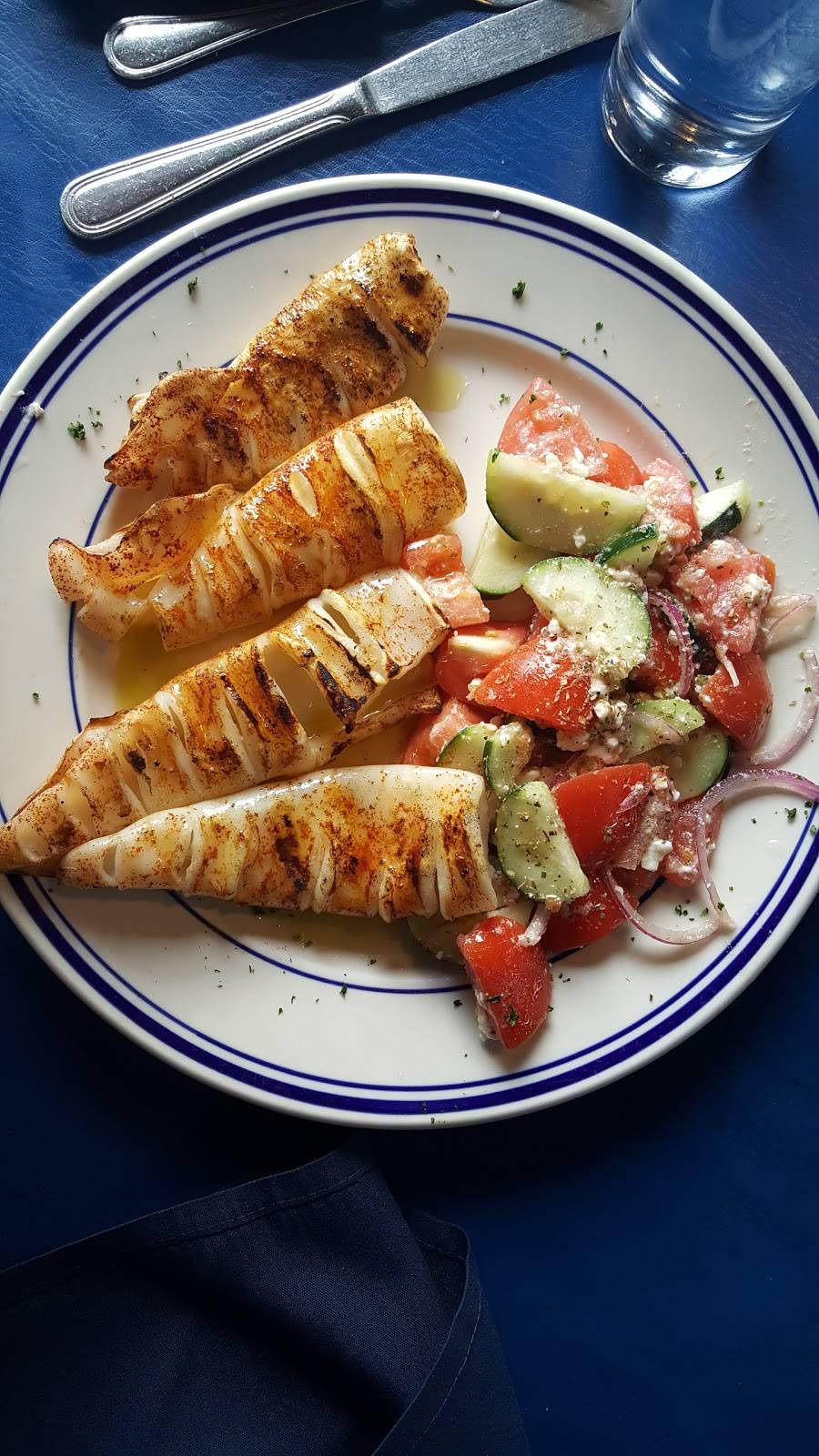 Pithari Taverna | restaurant | 28 Woodbridge Ave, Highland Park, NJ 08904, USA | 7325720616 OR +1 732-572-0616