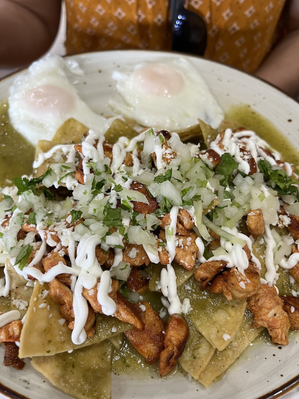 Don Maguey Mexican Restaurant | restaurant | 4747 W Flagler St, Miami, FL 33134, USA | 7865585650 OR +1 786-558-5650