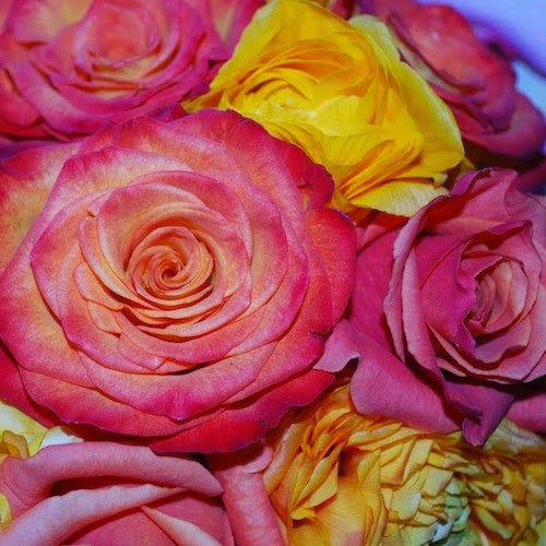 Yellow Vase | bakery | 810 Silver Spur Rd # A, Rolling Hills Estates, CA 90274, USA | 3105410013 OR +1 310-541-0013