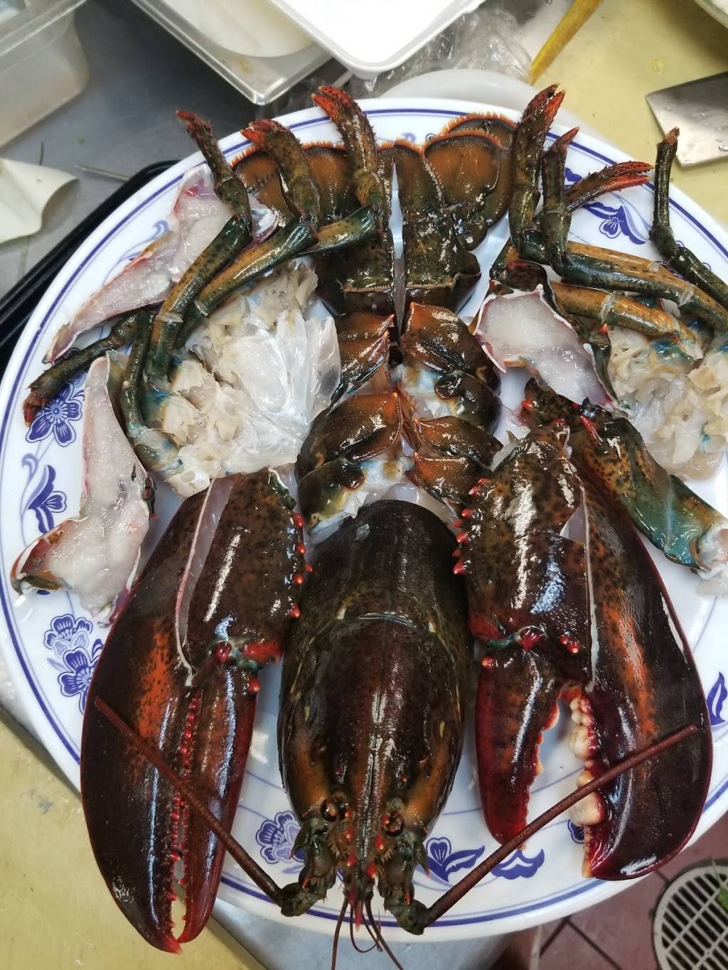 Lucky Star | restaurant | 5301 Sheridan St, Hollywood, FL 33021, USA | 9545444181 OR +1 954-544-4181