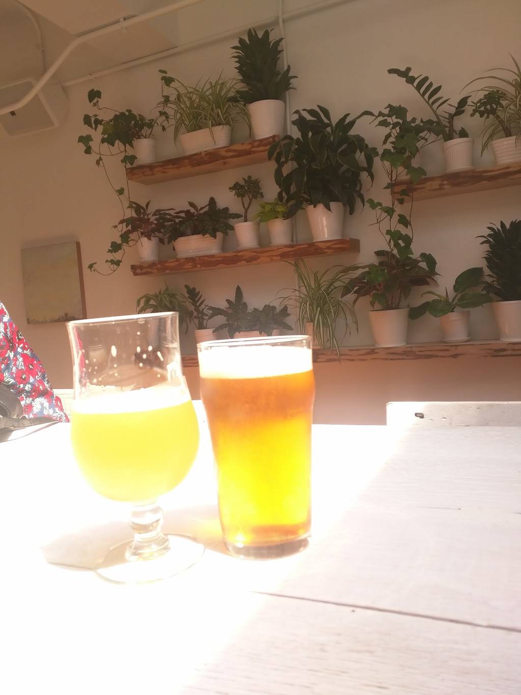 Tapster | restaurant | 2027 W North Ave, Chicago, IL 60647, USA | 7736612182 OR +1 773-661-2182