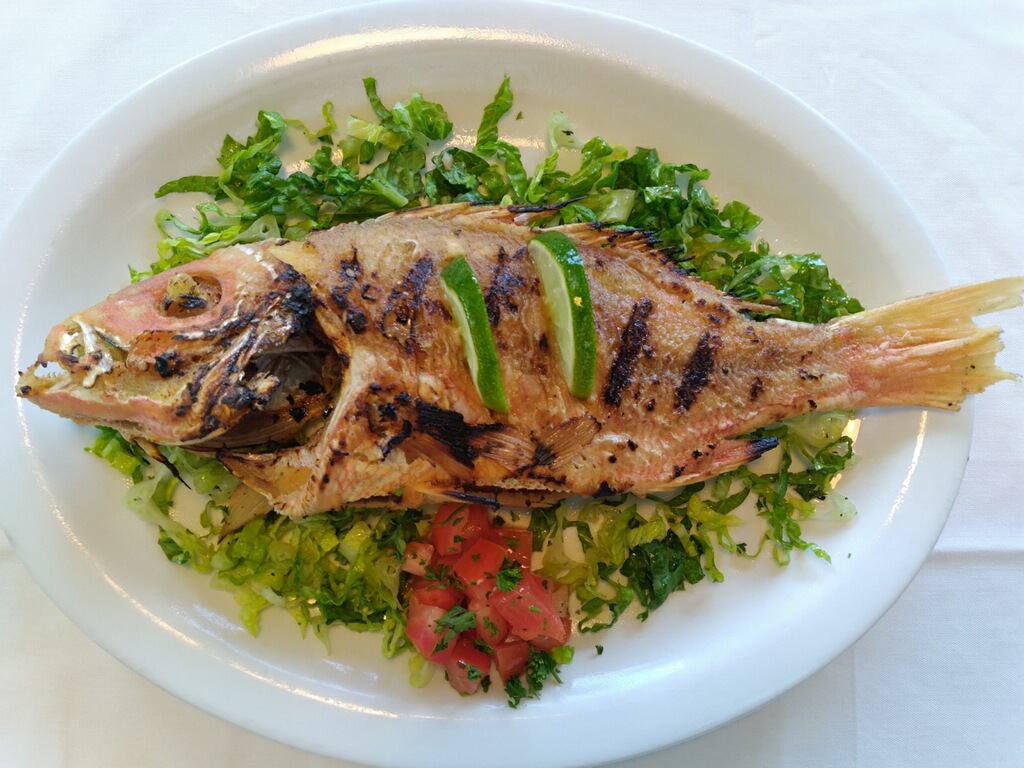 Mayas Eatery | restaurant | 1230 N Military Trl, West Palm Beach, FL 33409, USA | 5616402922 OR +1 561-640-2922