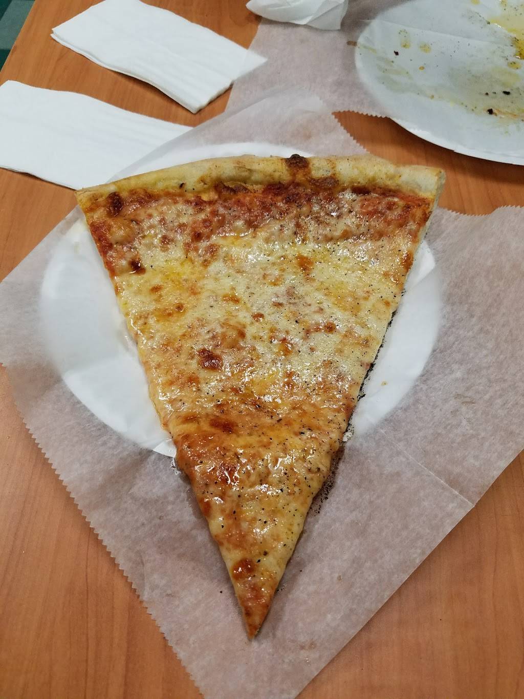 Pizza Palace | restaurant | 121 Dyckman St, New York, NY 10040, USA | 2125679588 OR +1 212-567-9588