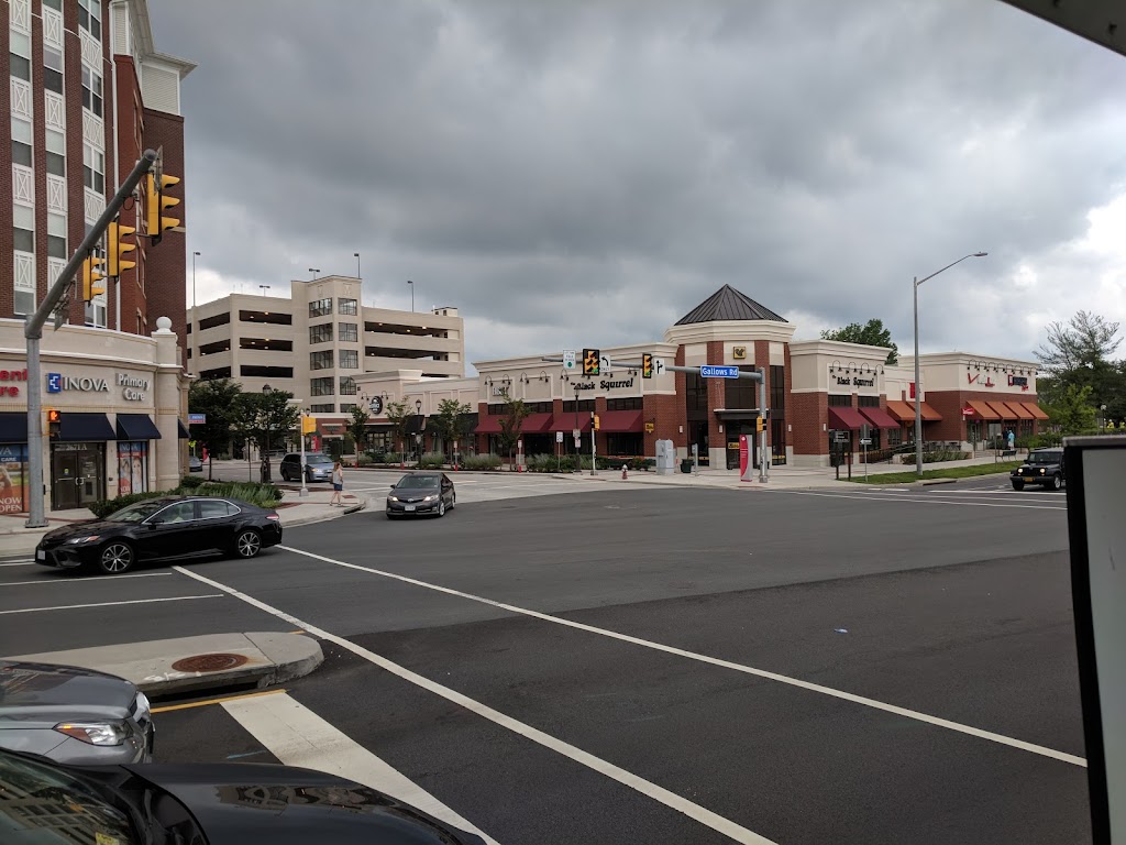 Black Squirrel | restaurant | 2670 Avenir Pl, Vienna, VA 22180, USA | 7038760500 OR +1 703-876-0500