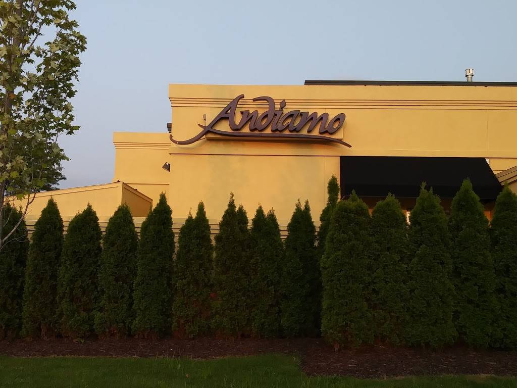 Andiamo Livonia | restaurant | 38703 W Seven Mile Rd, Livonia, MI 48152, USA | 7349533200 OR +1 734-953-3200