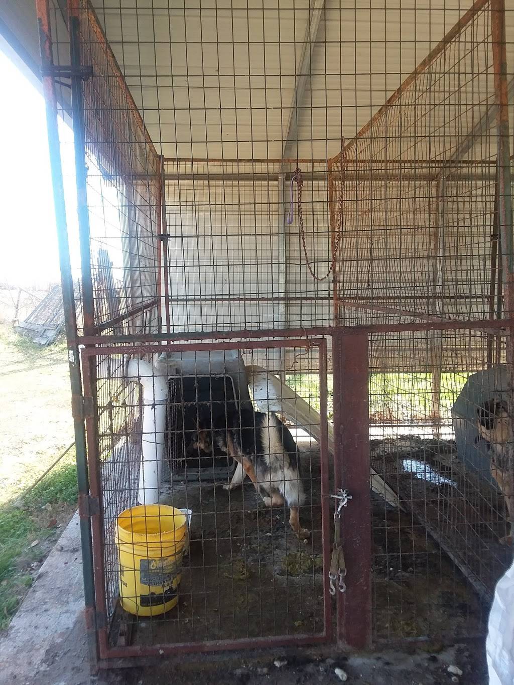 Sanders Down Home BBQ | restaurant | 3078 Elberton Rd, Carlton, GA 30627, USA | 6786371649 OR +1 678-637-1649