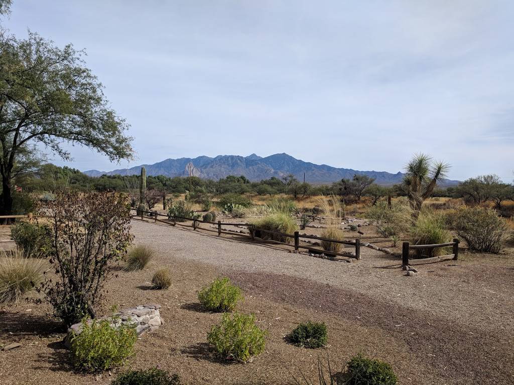 Firefly Restaurant | restaurant | 3001 I-19 Frontage Rd, Amado, AZ 85645, USA | 5203983028 OR +1 520-398-3028