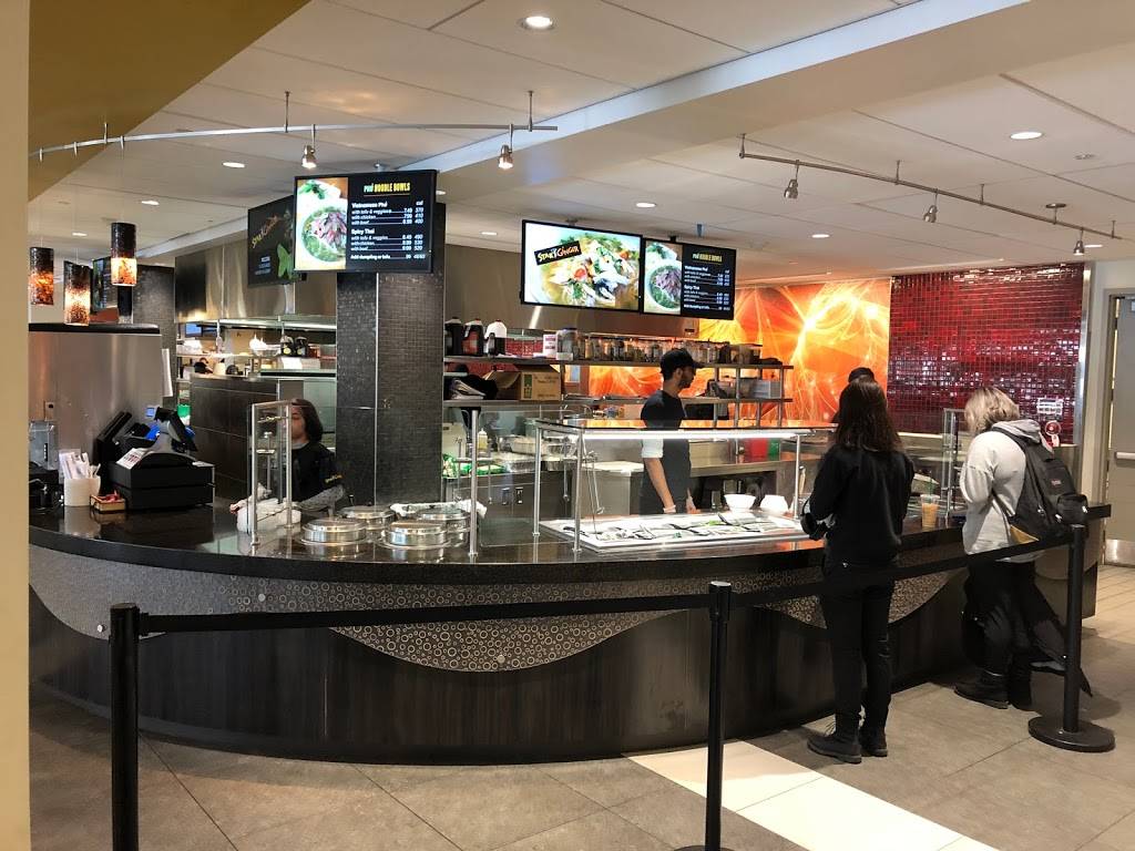 Star Ginger | restaurant | 1400 Washington Ave, Albany, NY 12222, USA | 5184425985 OR +1 518-442-5985