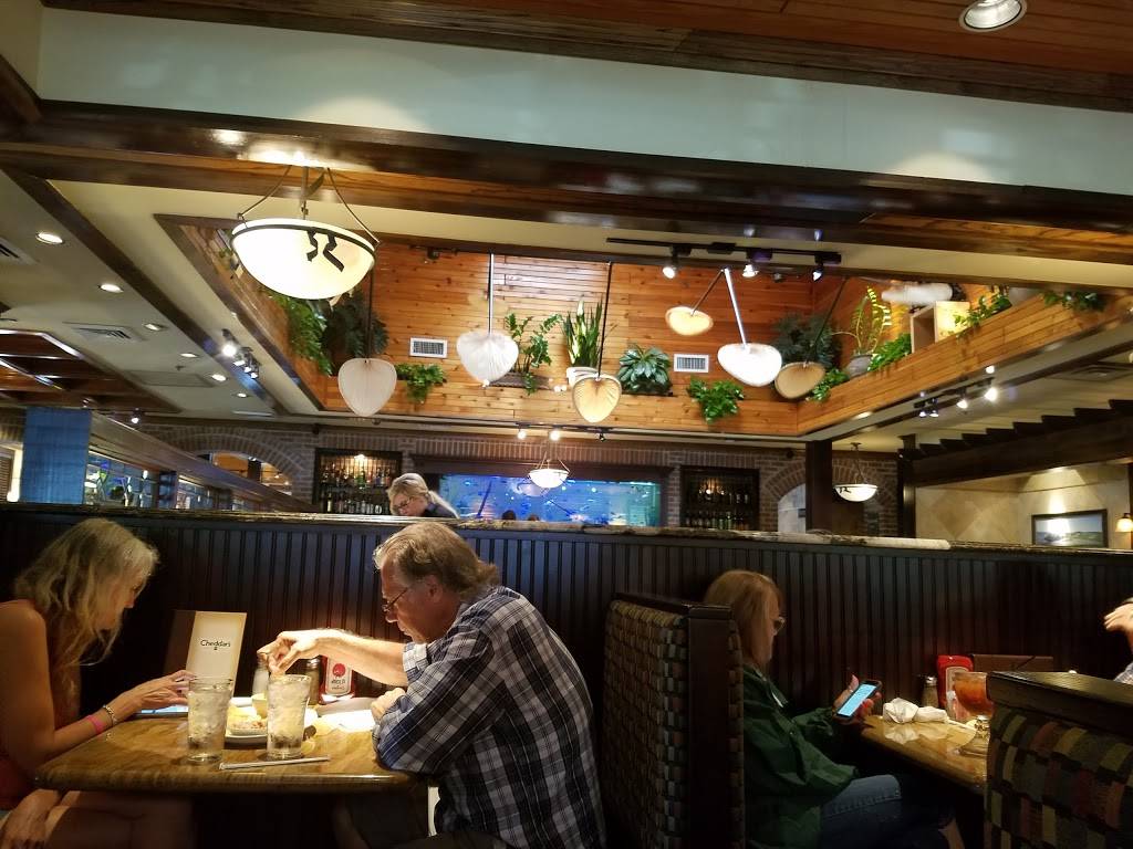 Cheddars Scratch Kitchen | restaurant | 3815, I-10, Beaumont, TX 77705, USA | 4098405333 OR +1 409-840-5333