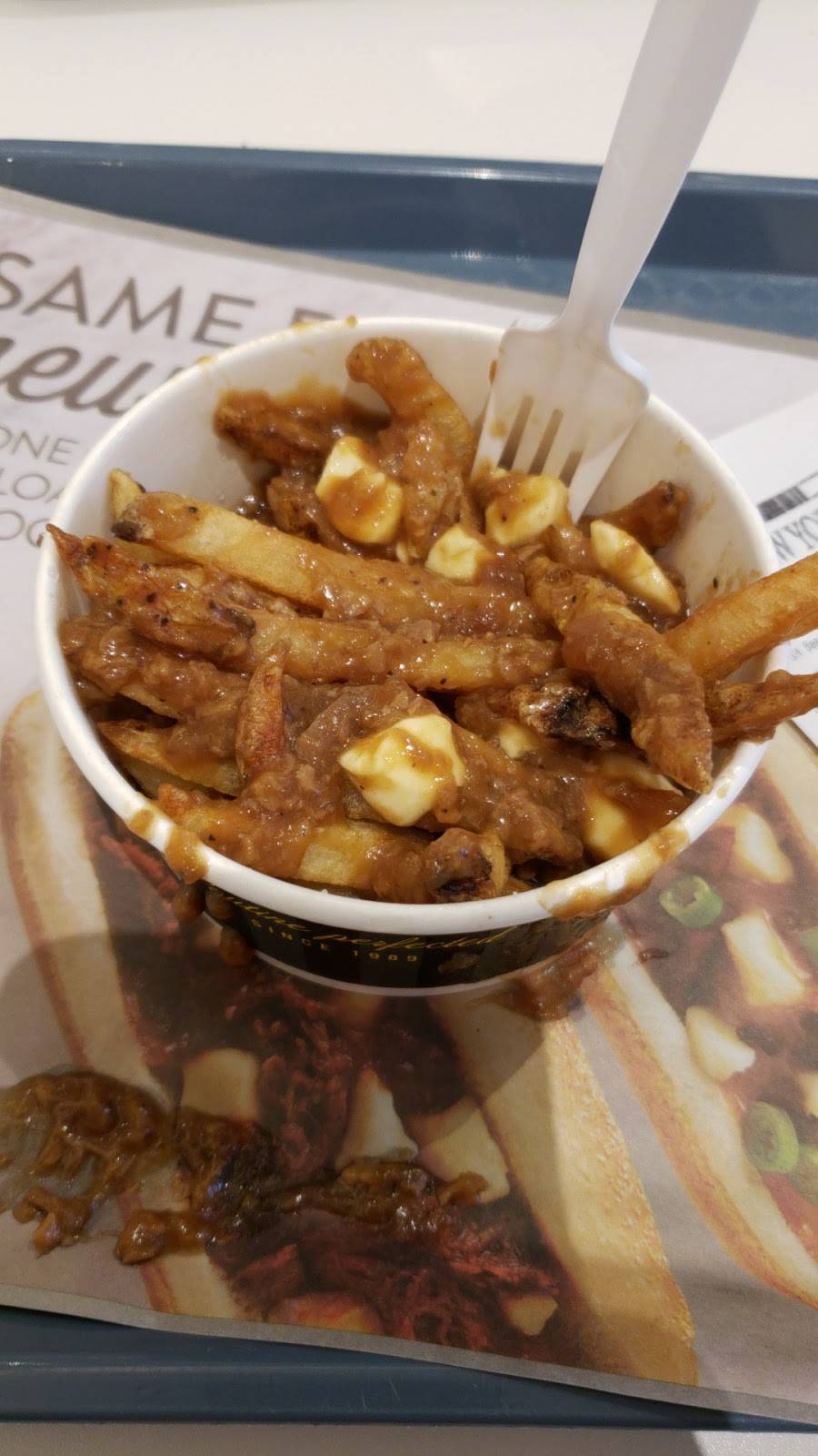 New York Fries - Cataraqui Town Centre | restaurant | 945 Gardiners Road Unit Z002L, Kingston, ON K7M 7H4, Canada | 6136347081 OR +1 613-634-7081