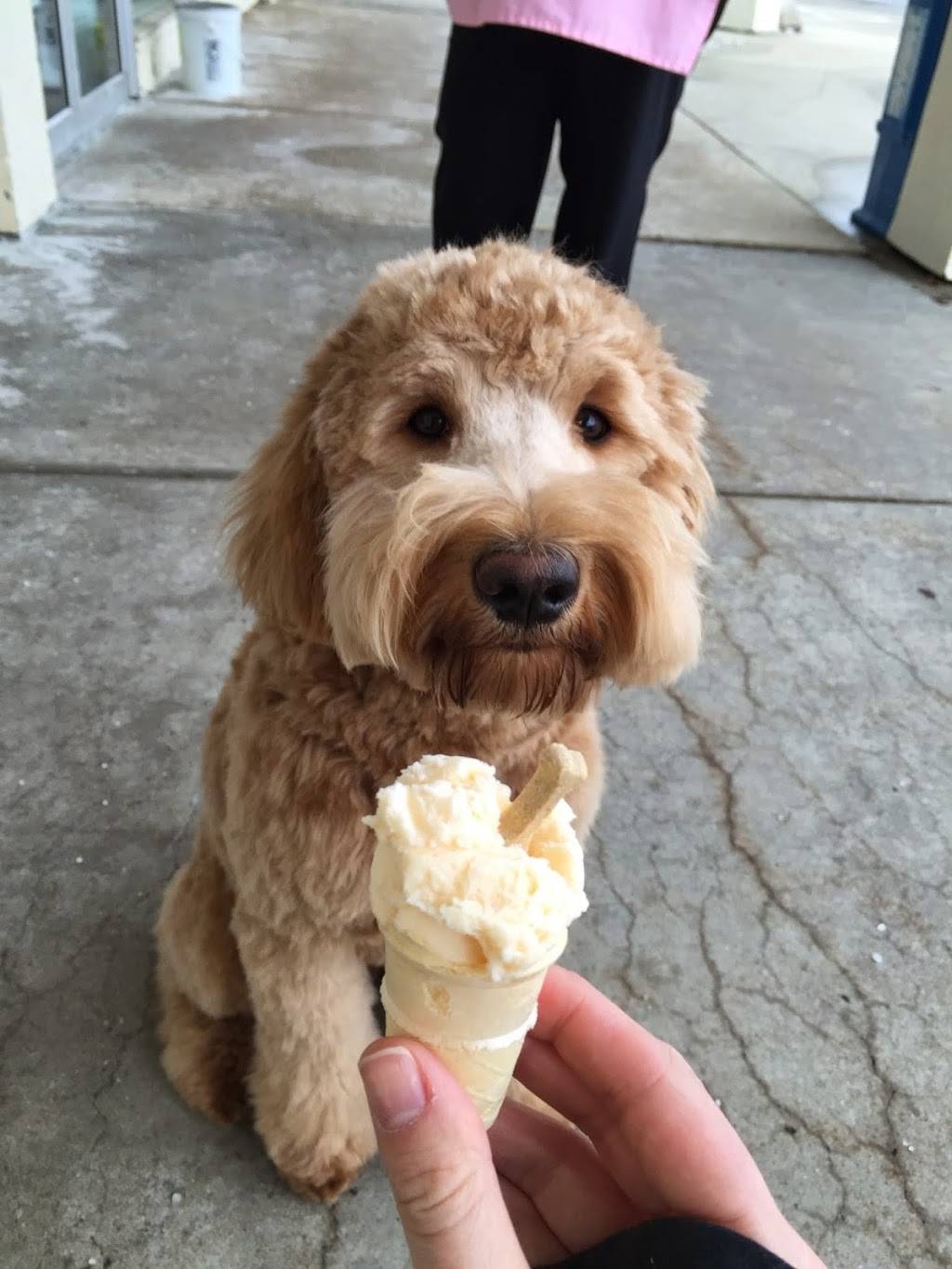 Treat Street | bakery | 3023 Oakland Dr, Kalamazoo, MI 49008, USA | 2697437137 OR +1 269-743-7137