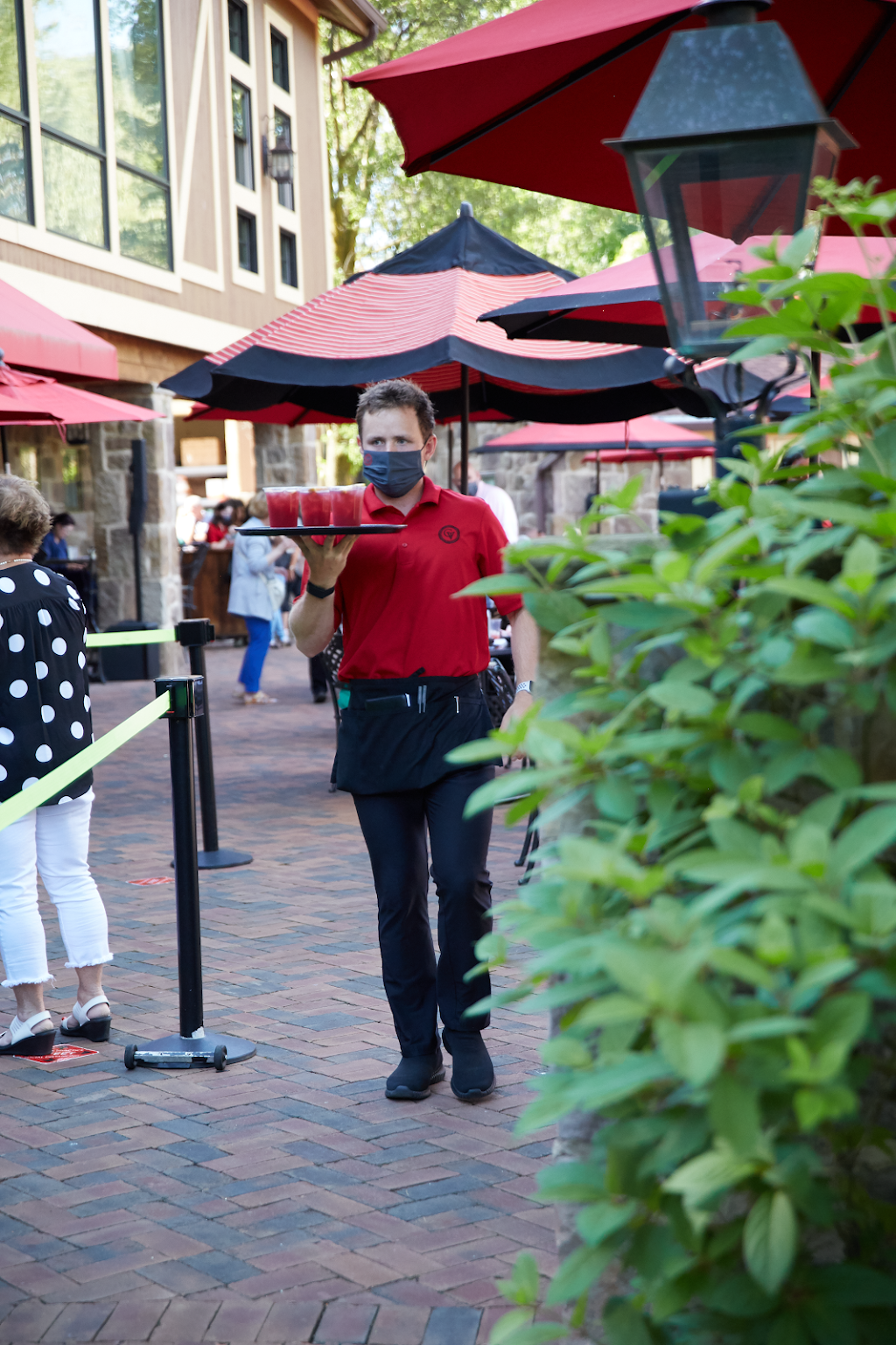 The Piazza at Gervasi Vineyard | restaurant | 1700 55th St NE, Canton, OH 44721, USA | 3304971000 OR +1 330-497-1000