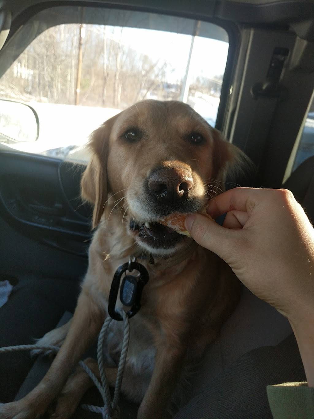 Dunkin | bakery | 5 Ayers Village Rd, Methuen, MA 01844, USA | 9786853748 OR +1 978-685-3748