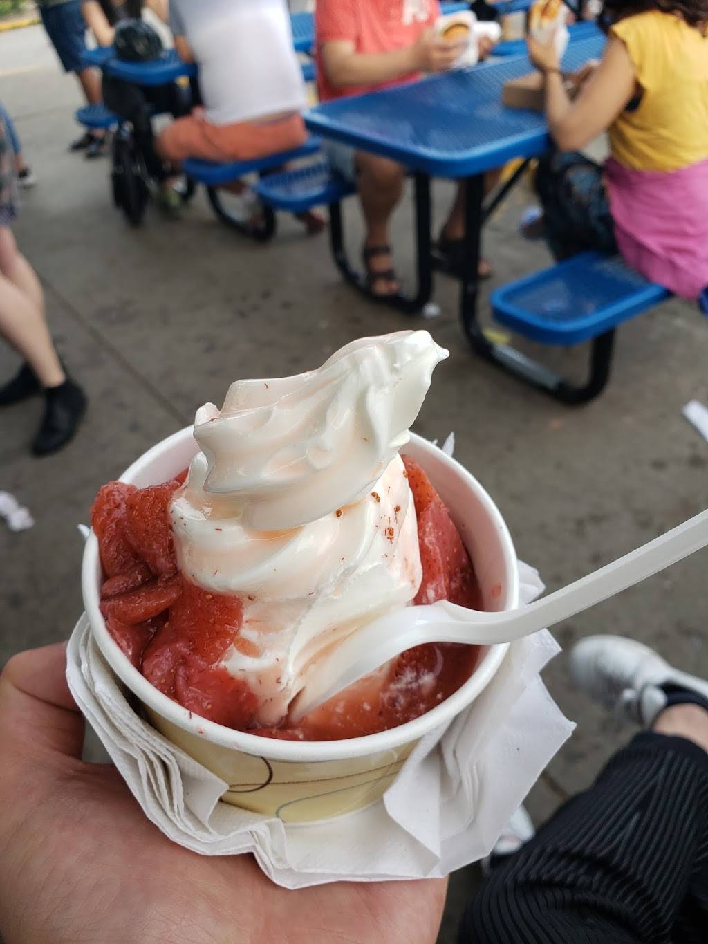 Toms Dairy Freeze | restaurant | 630 The Queensway, Etobicoke, ON M8Y 1K5, Canada | 4162591846 OR +1 416-259-1846