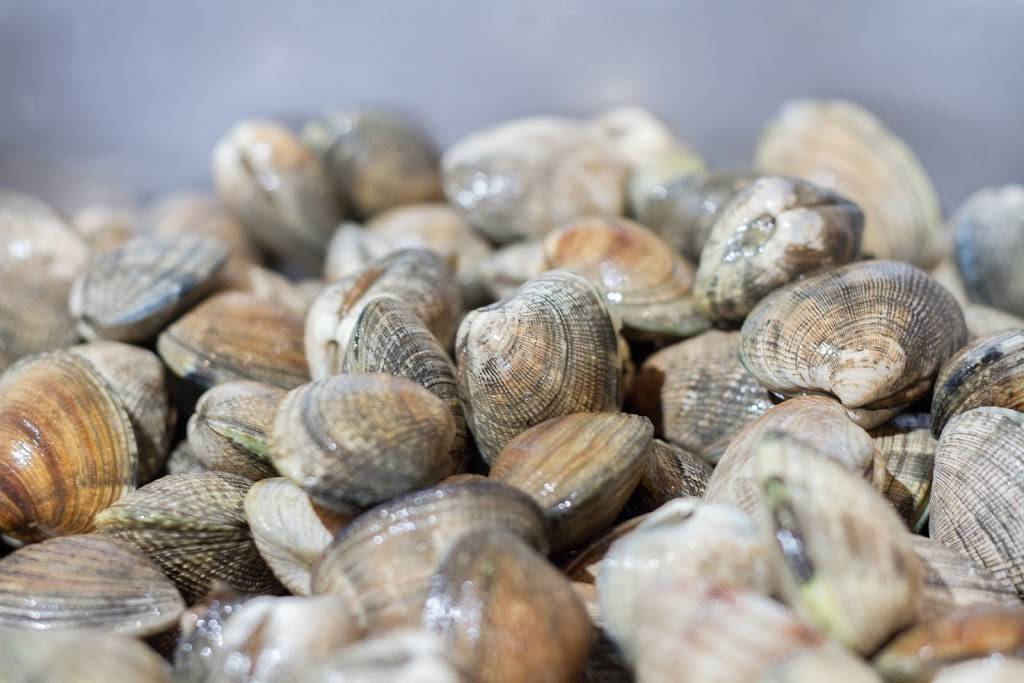 Kettlefish | restaurant | 3607 NW Byron St, Silverdale, WA 98383, USA | 3606929611 OR +1 360-692-9611