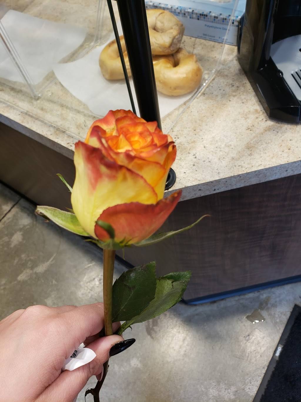 Brooklyn Bagel On The Square | restaurant | 225 Franciscan Square Suite B, Steubenville, OH 43952, USA | 7407924356 OR +1 740-792-4356