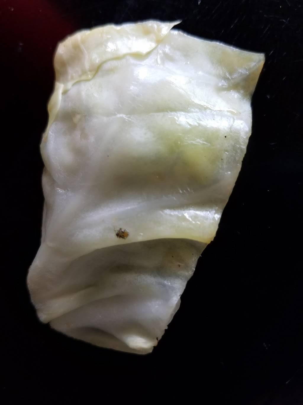 Flame Broiler | restaurant | 6059 Magnolia Ave, Riverside, CA 92506, USA | 9517791228 OR +1 951-779-1228