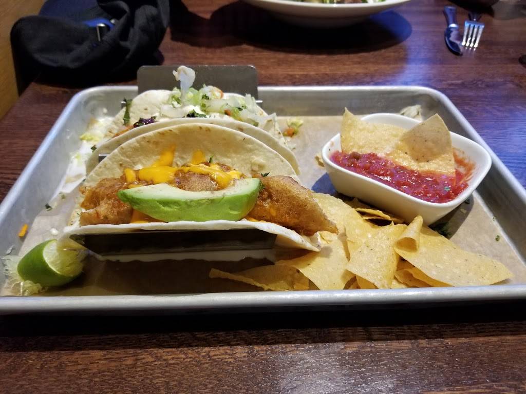 Granite City Food and Brewery | restaurant | 801 Plaza Dr, Schaumburg, IL 60173, USA | 6305235700 OR +1 630-523-5700