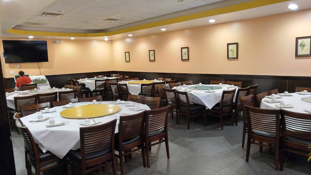 Empire Dynasty | restaurant | 29505 W Nine Mile Rd, Farmington Hills, MI 48336, USA | 2488886866 OR +1 248-888-6866