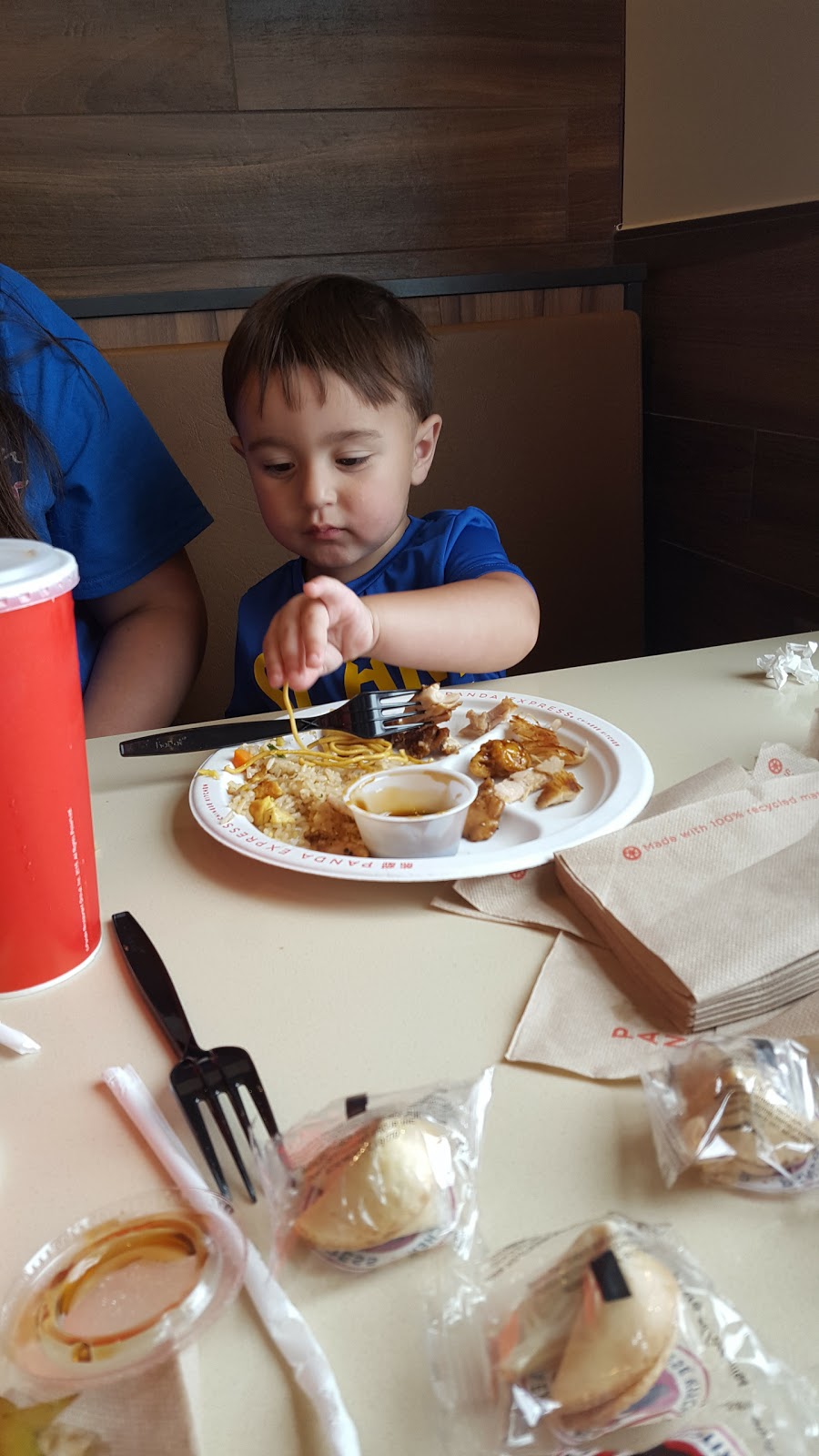 Panda Express | restaurant | 1139 US-231, Troy, AL 36081, USA | 3346709631 OR +1 334-670-9631