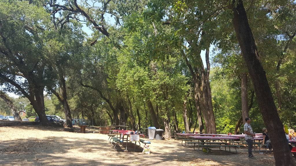 Mortons Warm Springs | cafe | 1651 Warm Springs Rd, Glen Ellen, CA 95442, USA | 7078335511 OR +1 707-833-5511