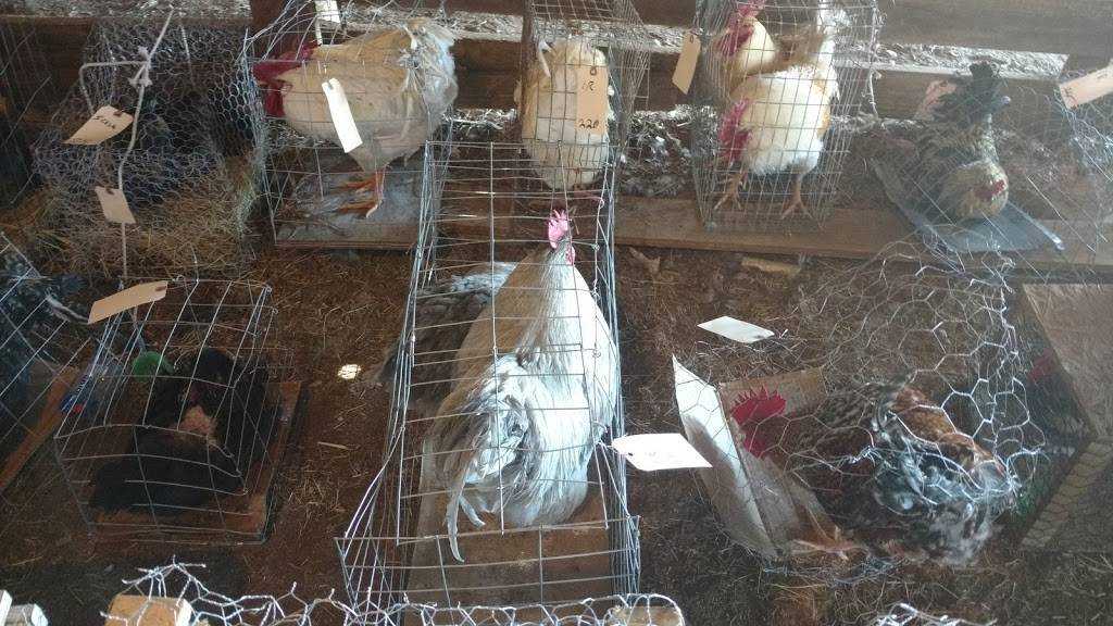 Silverwares BBQ | restaurant | 726 S State St, Lyons, GA 30436, USA | 9123884827 OR +1 912-388-4827