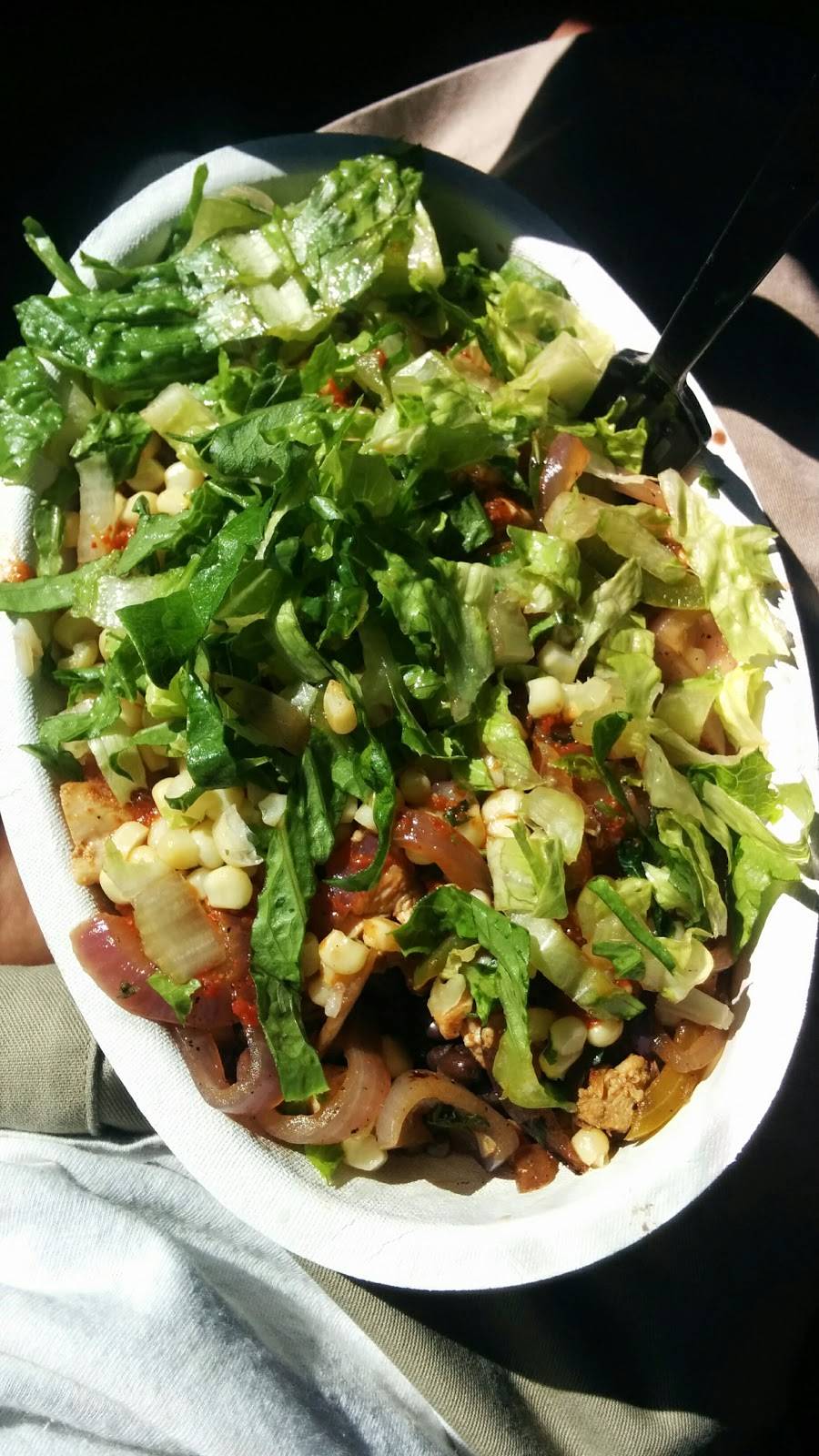 Chipotle Mexican Grill | restaurant | 101 Turner Ln, West Chester, PA 19380, USA | 6103447042 OR +1 610-344-7042