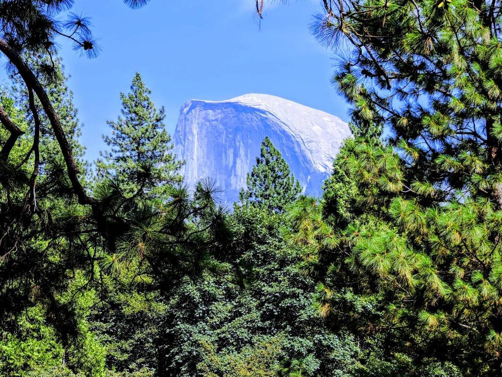 Base Camp Eatery | restaurant | 9006 Yosemite Lodge Dr, Yosemite Valley, CA 95389, USA | 8884138869 OR +1 888-413-8869