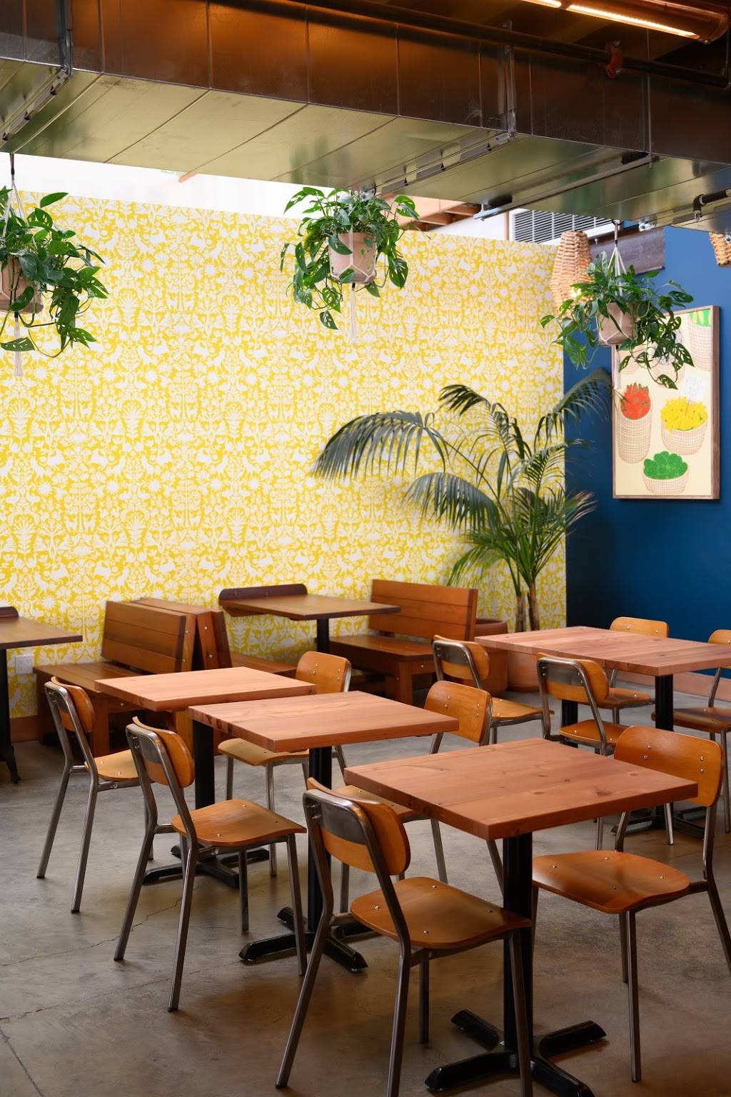 doña | restaurant | 3770 Piedmont Ave, Oakland, CA 94611, USA | 5104500522 OR +1 510-450-0522