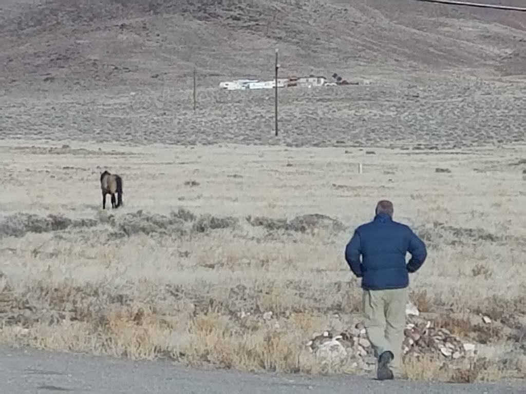 Silver Strike Casino | restaurant | 1190 US-50, Silver Springs, NV 89429, USA | 7755771400 OR +1 775-577-1400