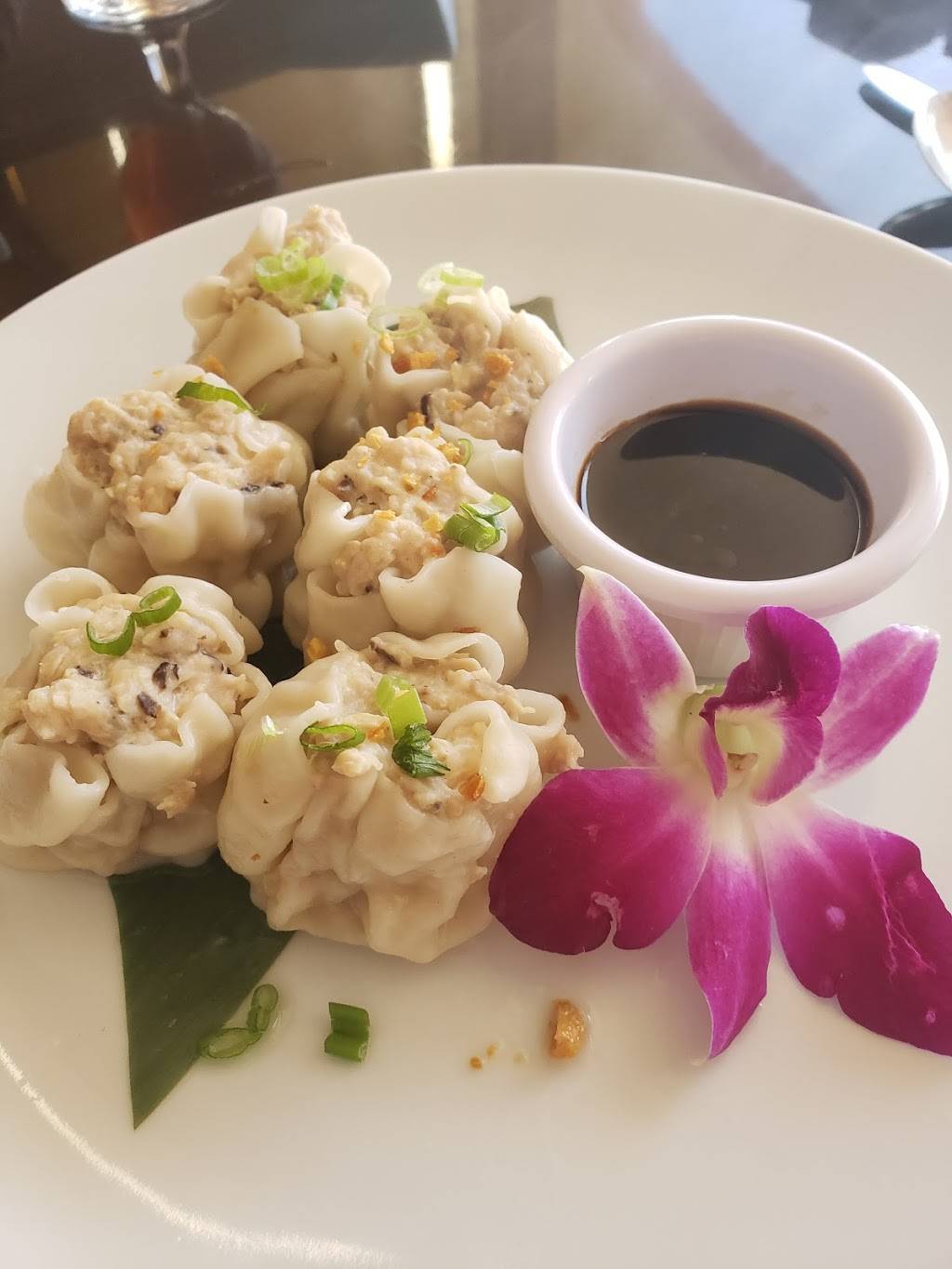 Thai Lotus - TEQUESTA, FL | restaurant | 137 North US 1, Tequesta, FL 33469, USA | 5617430069 OR +1 561-743-0069